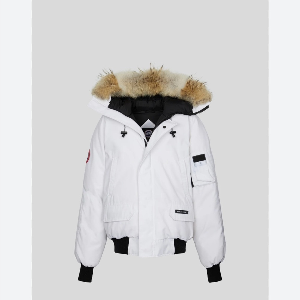 Canada goose Chilliwack Bomber